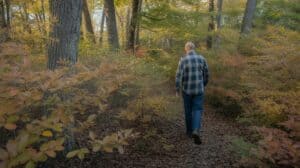 A private landowner in work boots and a flannel shirt walks a trail through an unmanaged northeastern hardwood forest. Japanese barberry shrubs crowd the understory. Dappled morning light filters through an oak and maple canopy. Photorealistic, documentary style, Hudson Valley New York, autumn early light, wide shot.