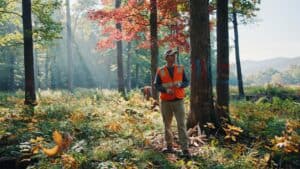 A licensed consulting forester in field vest and work boots standing in a young regenerating forest stand, large sugar maple seed trees still standing over a floor of 3-foot seedlings, dappled morning light filtering through partial canopy, autumn foliage, Catskill Mountains of New York, documentary photography style, 35mm film look, muted warm tones, no text overlay