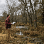 A licensed NY forester explains when DEC wetland permits and local town rules apply before you clear land — and how to find out for sure