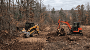 A licensed NY forester compares forestry mulching and traditional land clearing — stump handling, regrowth, and when each method actually works.