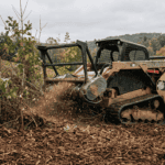 A licensed NY forester explains what drives forestry mulching cost per acre and per hour — density, diameter, terrain, and access.