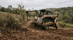 A licensed NY forester explains what drives forestry mulching cost per acre and per hour — density, diameter, terrain, and access.