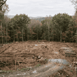 A realistic, editorial-style outdoor photograph on a rural wooded property in the Hudson Valley region of New York, taken in soft overcast daylight. The scene shows a partially cleared building site: a rectangular section of forest has been opened up with visible stumps and cut logs stacked to one side, marking out a building envelope, while dense standing hardwood forest remains at the edges of the frame. Survey stakes with orange flagging tape mark the corners of the cleared area. A small access path or rough driveway cut leads into the site from the foreground. Muted natural color palette — browns, dull greens, gray sky, no oversaturation. Shot from a slightly elevated three-quarter angle to show the full clearing footprint against the remaining tree line. Photorealistic, documentary/photojournalistic style, natural lens compression. No people in frame. No text, no logos, no watermarks, no signage.