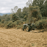 A realistic, editorial-style outdoor photograph on a rural property in the Hudson Valley region of New York, taken in soft overcast light during early fall. The scene shows a partially reclaimed hayfield: the foreground shows open, mowed grassy pasture, while the background transitions into dense multiflora rose and brush thickets still encroaching from the tree line. A brush-cutting tractor attachment sits at the edge of the cleared area, marking the boundary between reclaimed field and overgrown brush. Muted natural color palette — golden browns, dull greens, gray sky, no oversaturation. Shot from a low three-quarter angle at eye level to emphasize the contrast between the open field and the brushy edge. Photorealistic, documentary/photojournalistic style, natural lens compression. No people in frame. No text, no logos, no watermarks, no signage.
