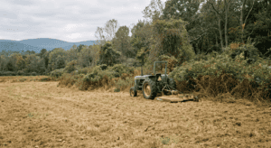 A realistic, editorial-style outdoor photograph on a rural property in the Hudson Valley region of New York, taken in soft overcast light during early fall. The scene shows a partially reclaimed hayfield: the foreground shows open, mowed grassy pasture, while the background transitions into dense multiflora rose and brush thickets still encroaching from the tree line. A brush-cutting tractor attachment sits at the edge of the cleared area, marking the boundary between reclaimed field and overgrown brush. Muted natural color palette — golden browns, dull greens, gray sky, no oversaturation. Shot from a low three-quarter angle at eye level to emphasize the contrast between the open field and the brushy edge. Photorealistic, documentary/photojournalistic style, natural lens compression. No people in frame. No text, no logos, no watermarks, no signage.